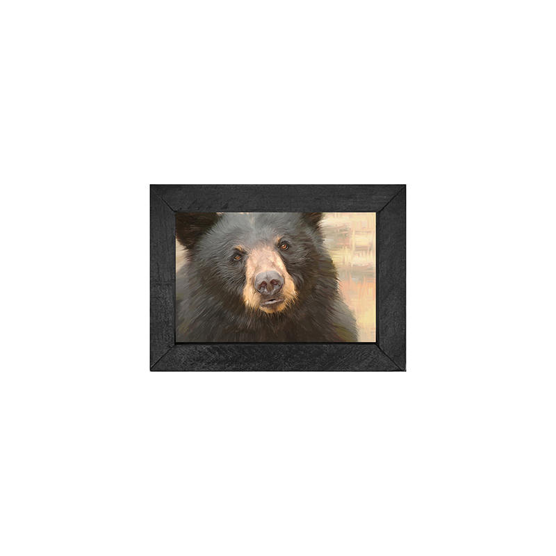 Black Bear