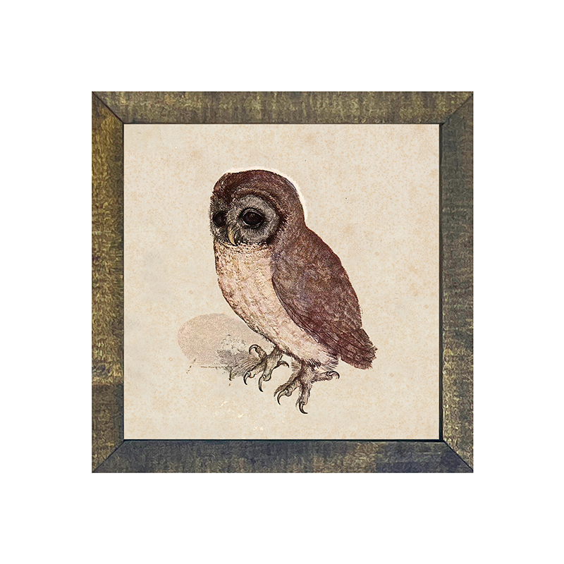 Vintage Owl