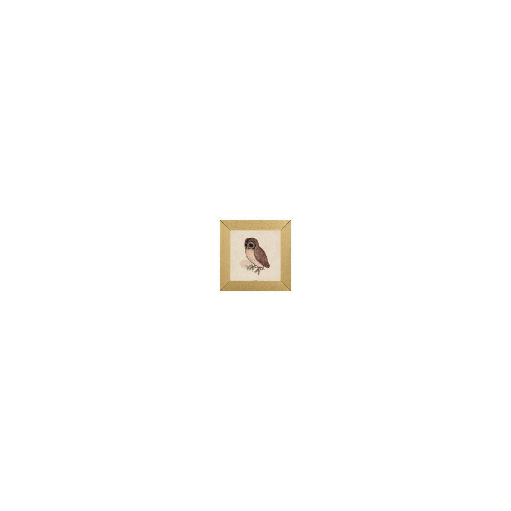 AD-800 in Metallic Gold Gallery Frame, M