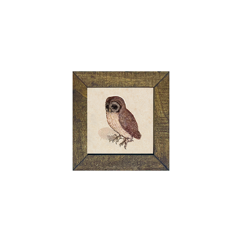 Vintage Owl