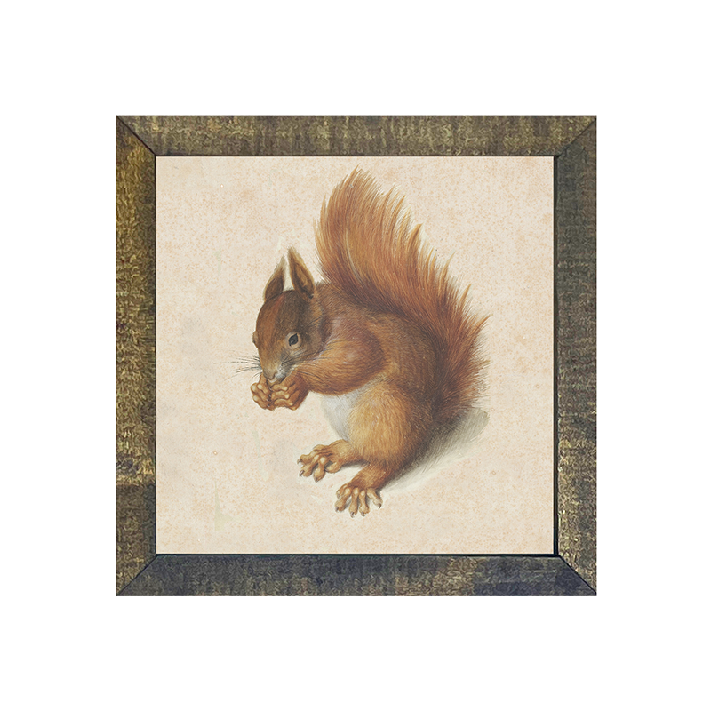 Vintage Squirrel