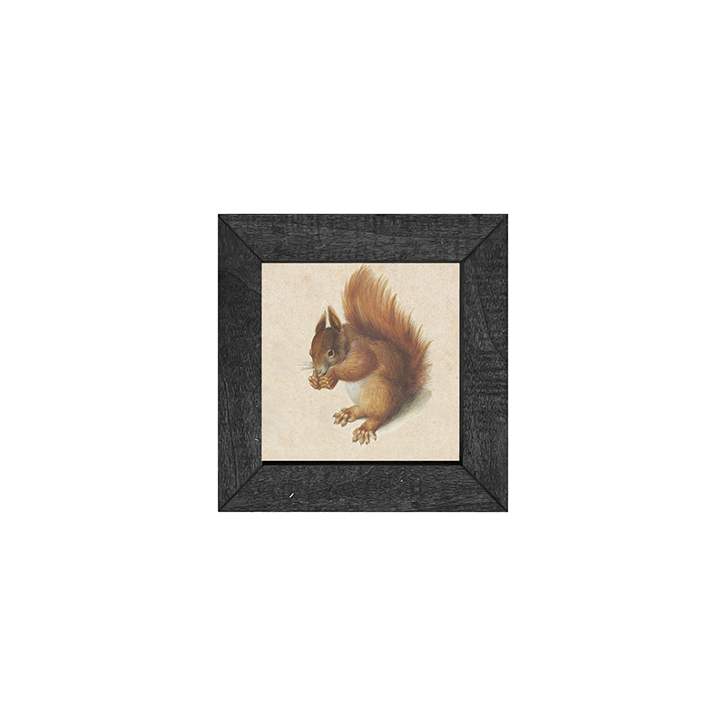 Vintage Squirrel