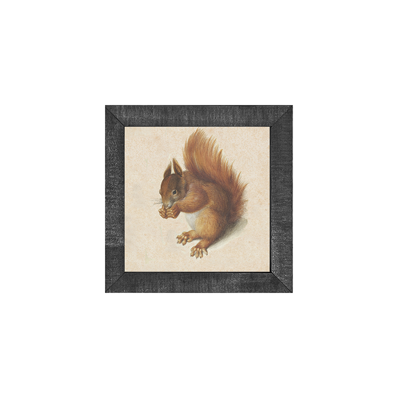 Vintage Squirrel