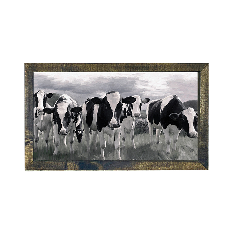 Herd of Heifers