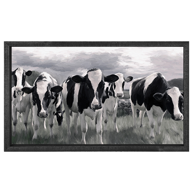 Herd of Heifers