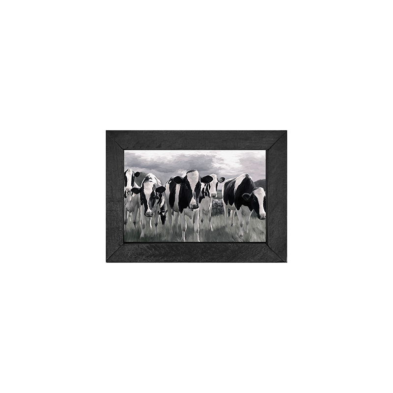 Herd of Heifers