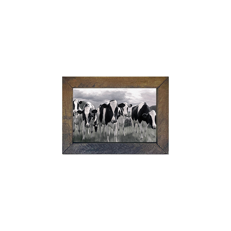 Herd of Heifers