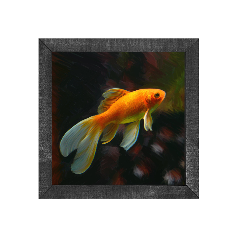 goldfish