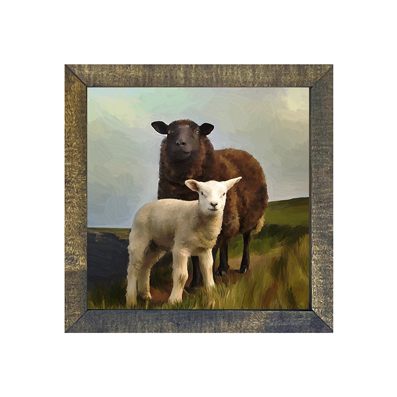 Two Sheep