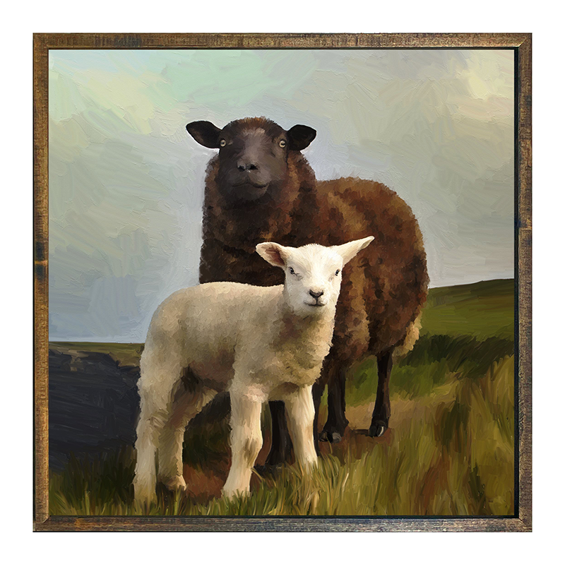 Two Sheep
