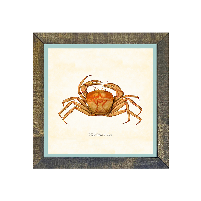 Crab - Orange