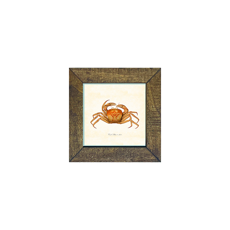 Crab - Orange