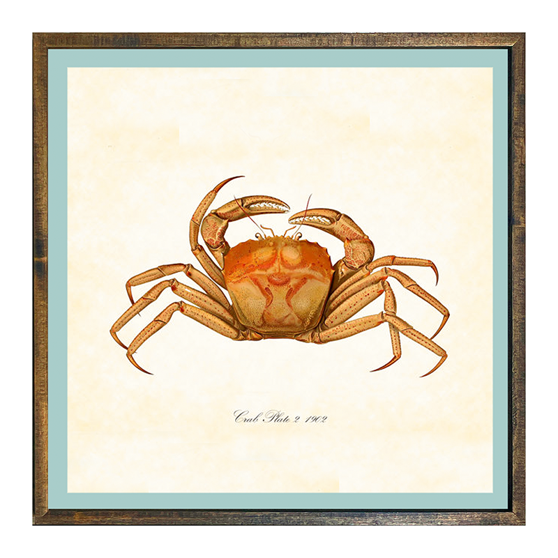 Crab - Orange