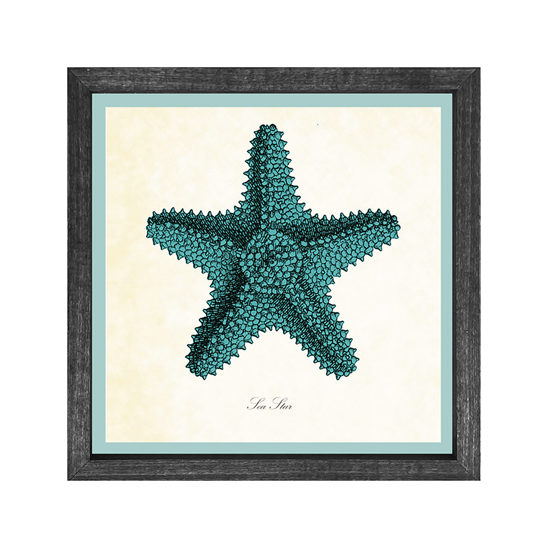 Starfish
