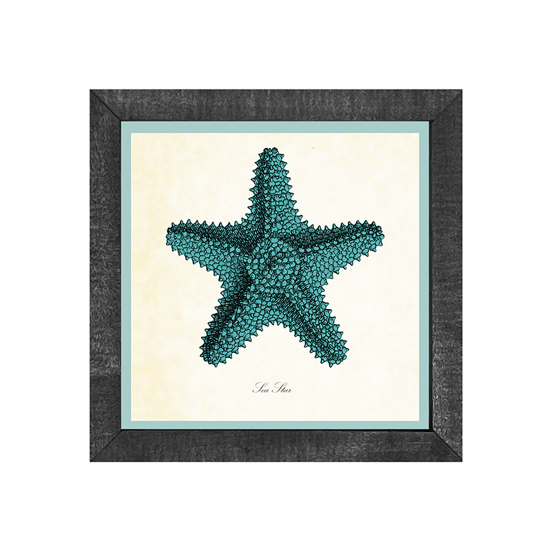 Starfish