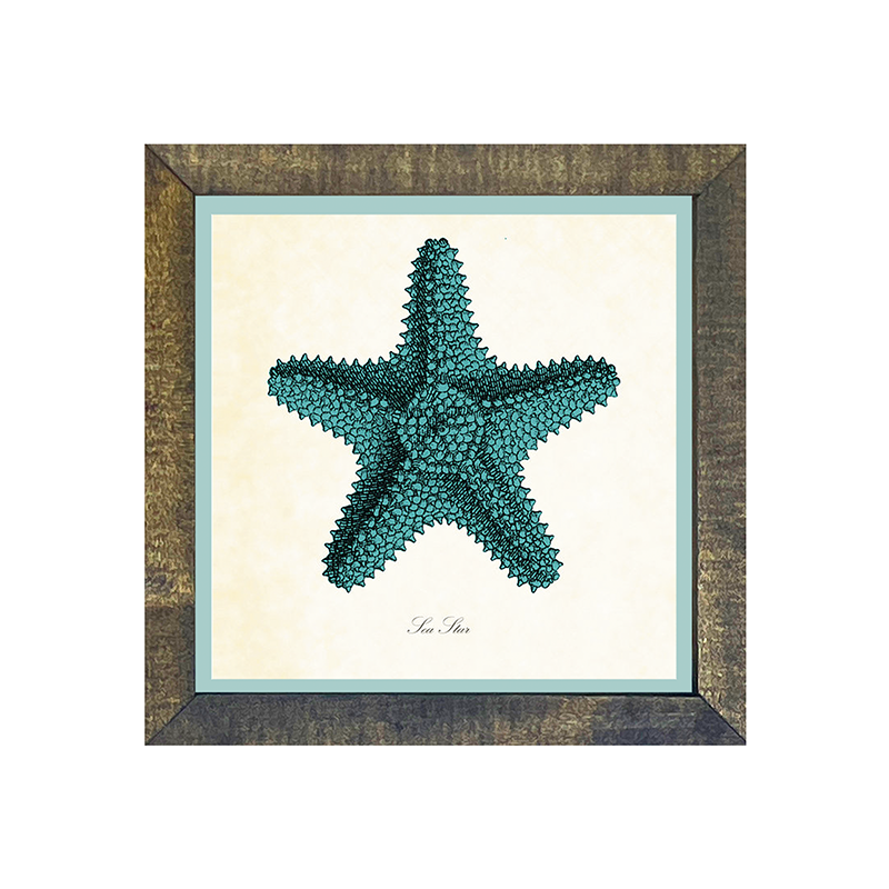 Starfish