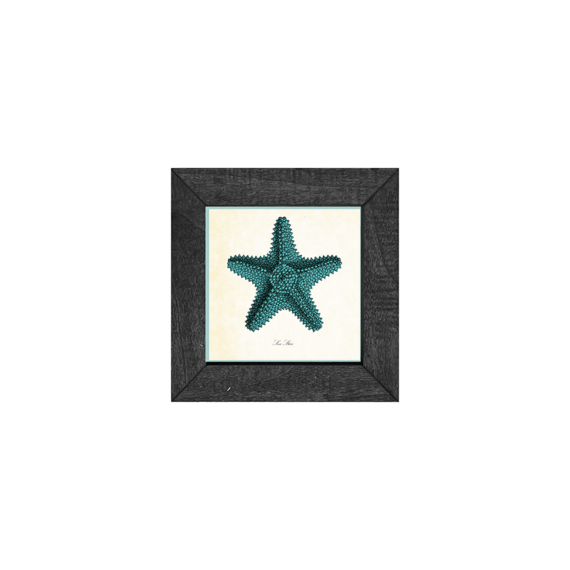 Starfish