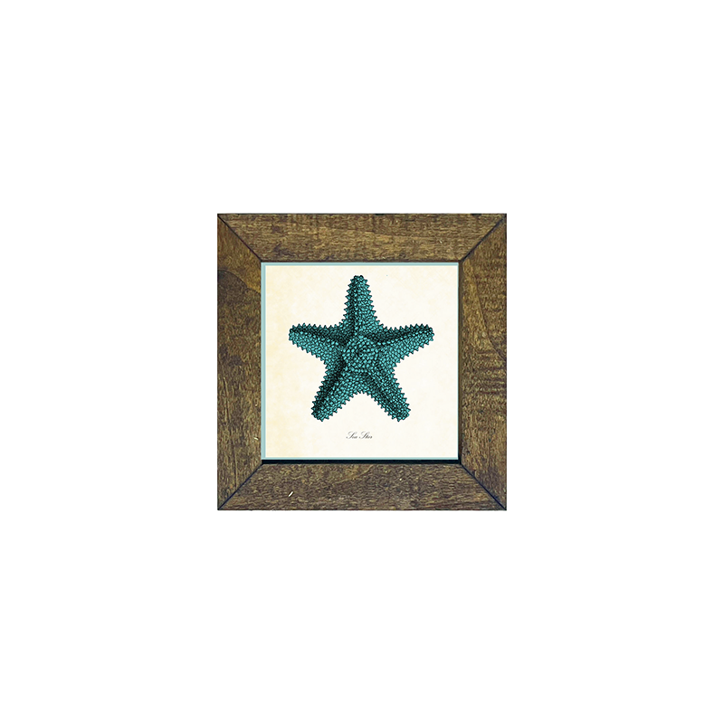Starfish