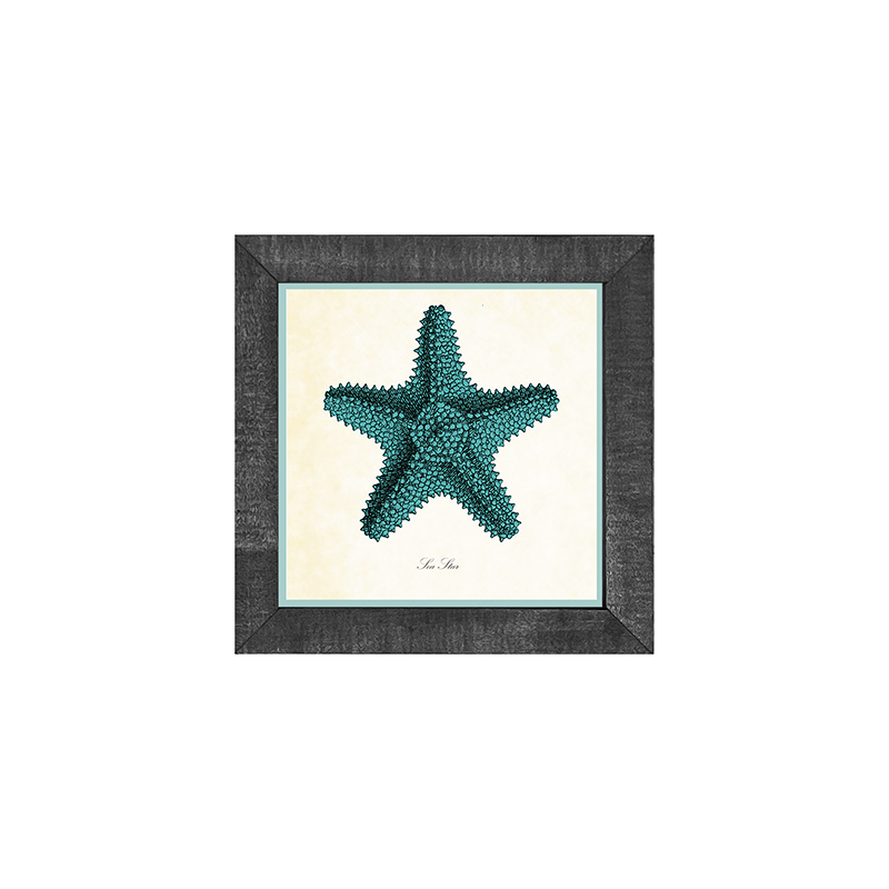 Starfish