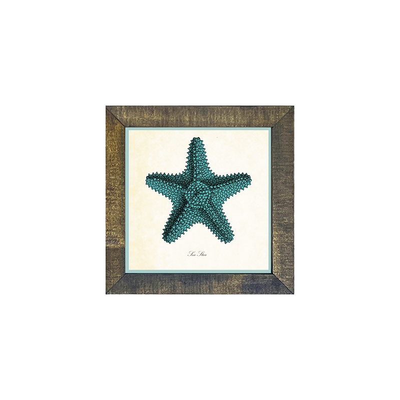 Starfish