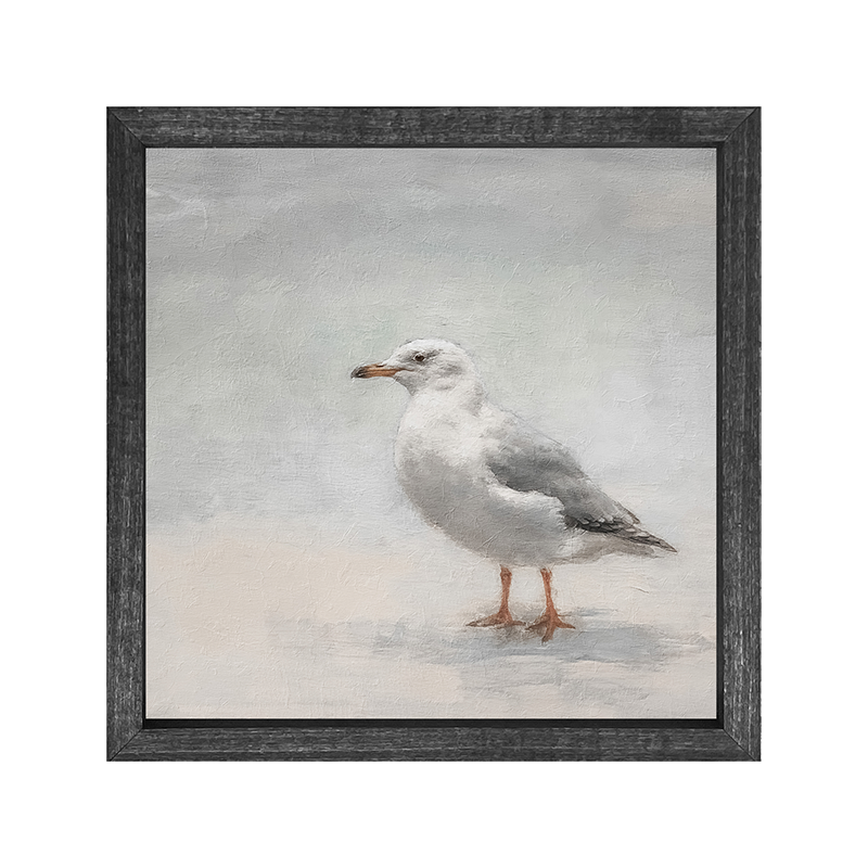 Seagull