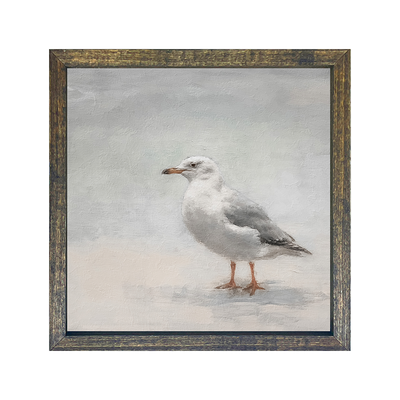 Seagull