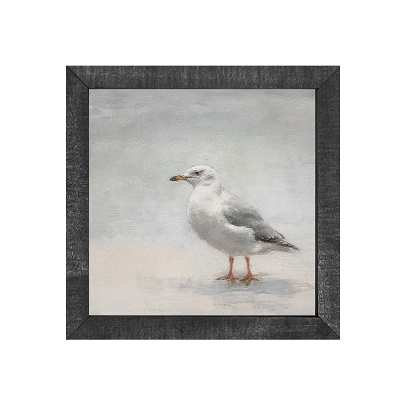Seagull