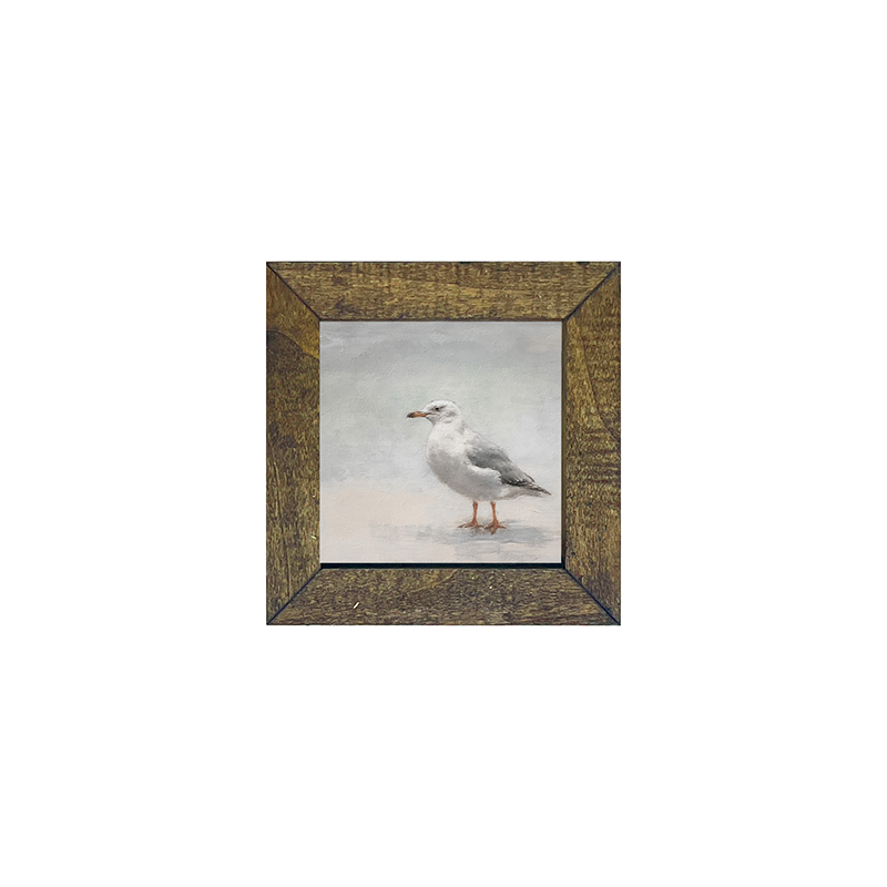 Seagull