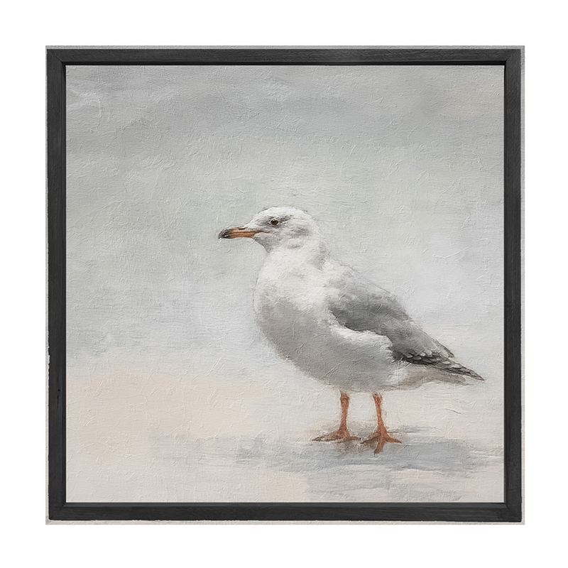 Seagull