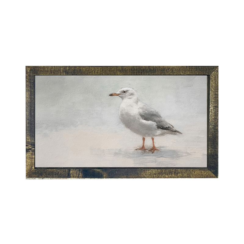 Seagull-Horizontal