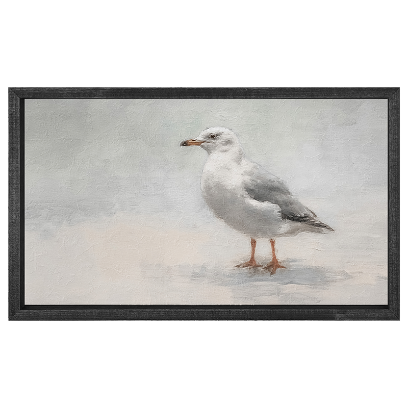 Seagull-Horizontal