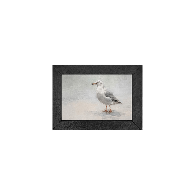 Seagull-Horizontal