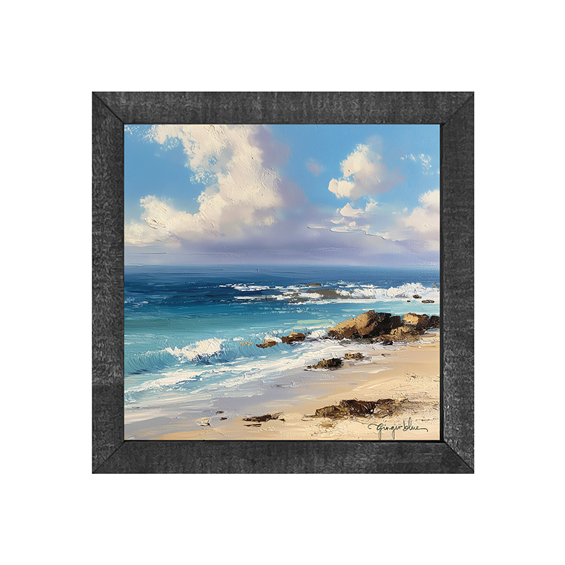 Beach with Rocks