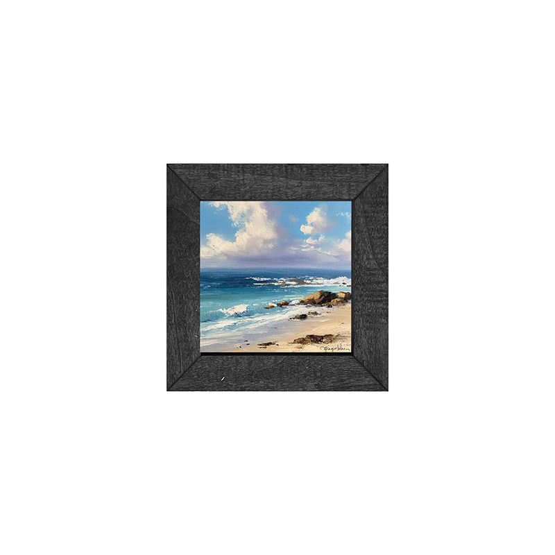 Beach with Rocks