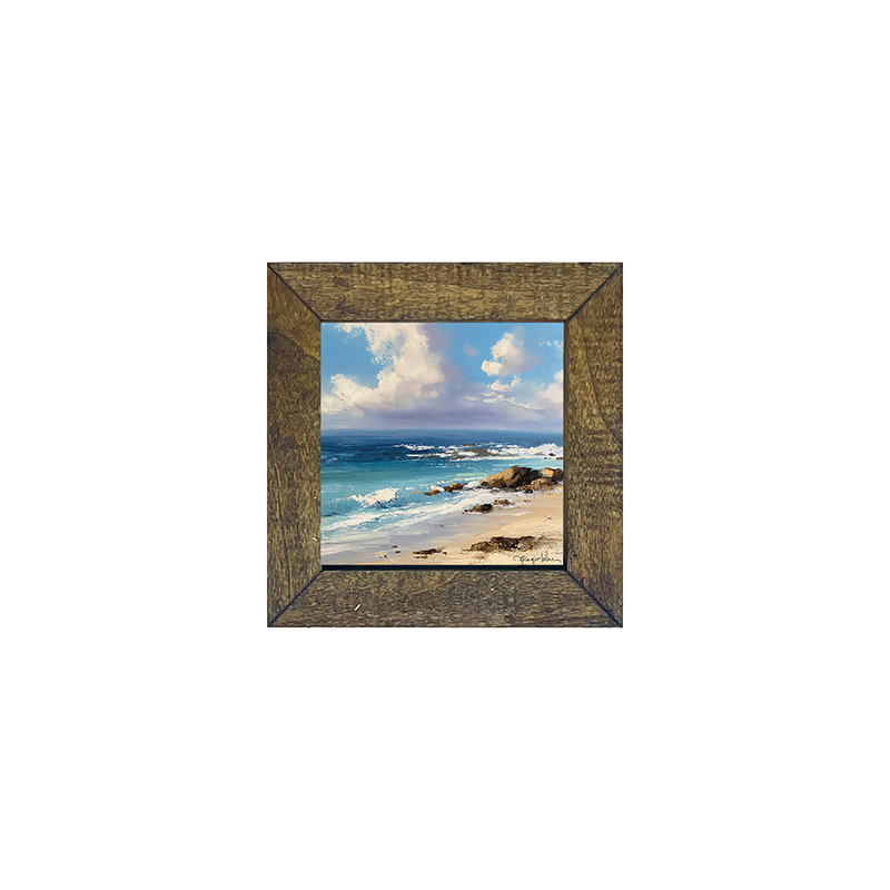 Beach with Rocks