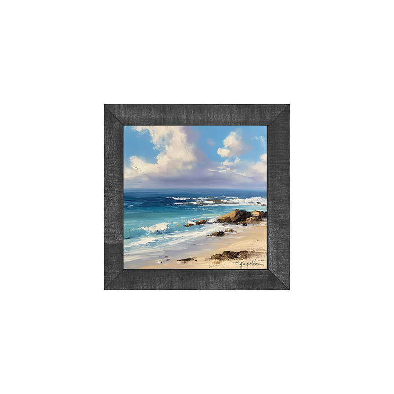 Beach with Rocks