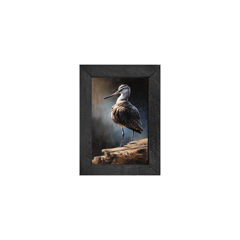 Beach Bird - Sandpiper - Vertical Frame