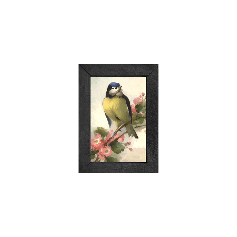 Bluejay