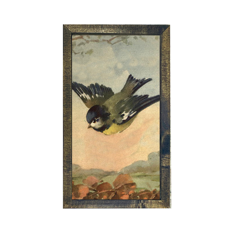 Flying Bluejay