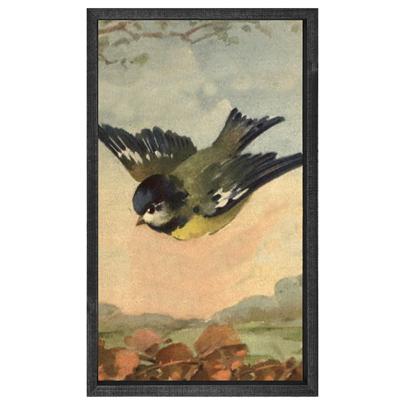 Flying Bluejay
