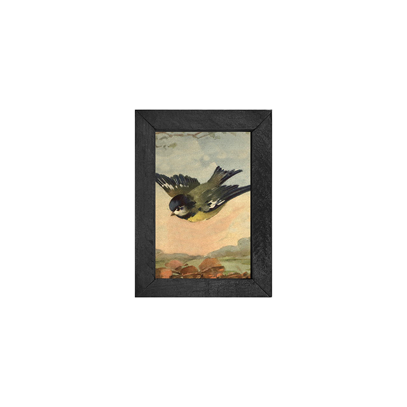 Flying Bluejay