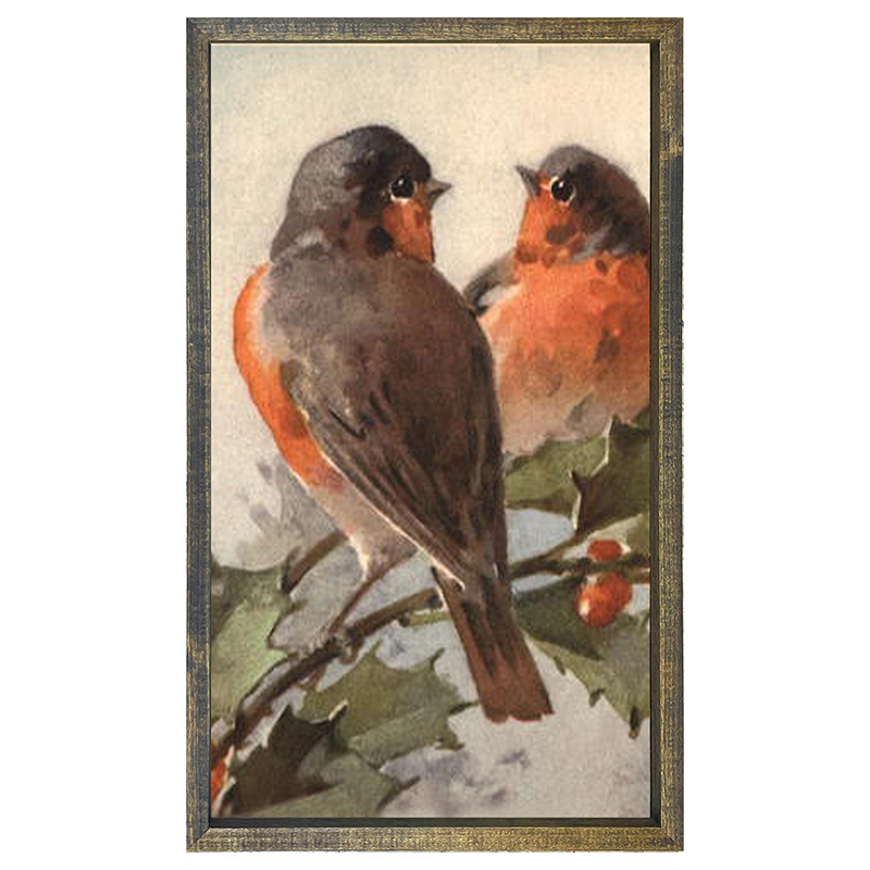 Two Robins