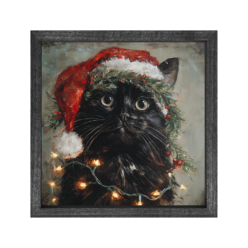 Christmas Lights with Black Cat