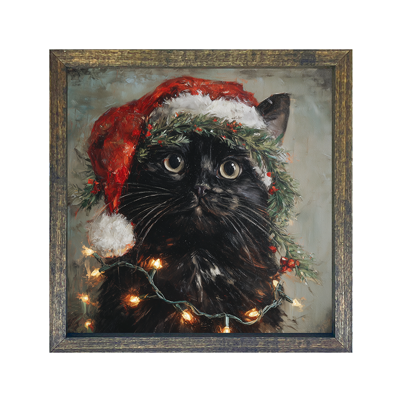 Christmas Lights with Black Cat