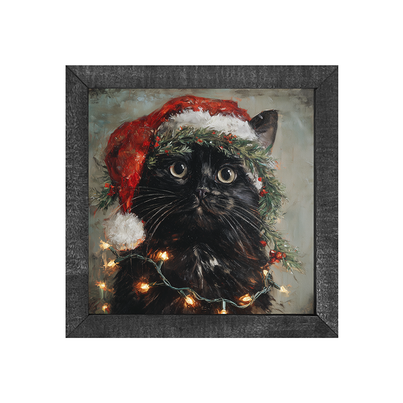 Christmas Lights with Black Cat