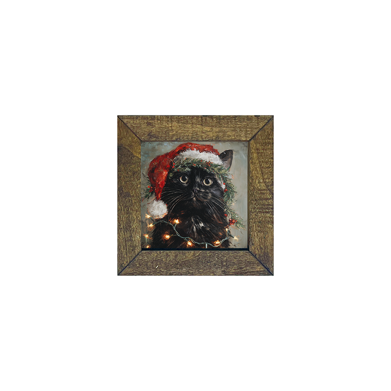 Christmas Lights with Black Cat
