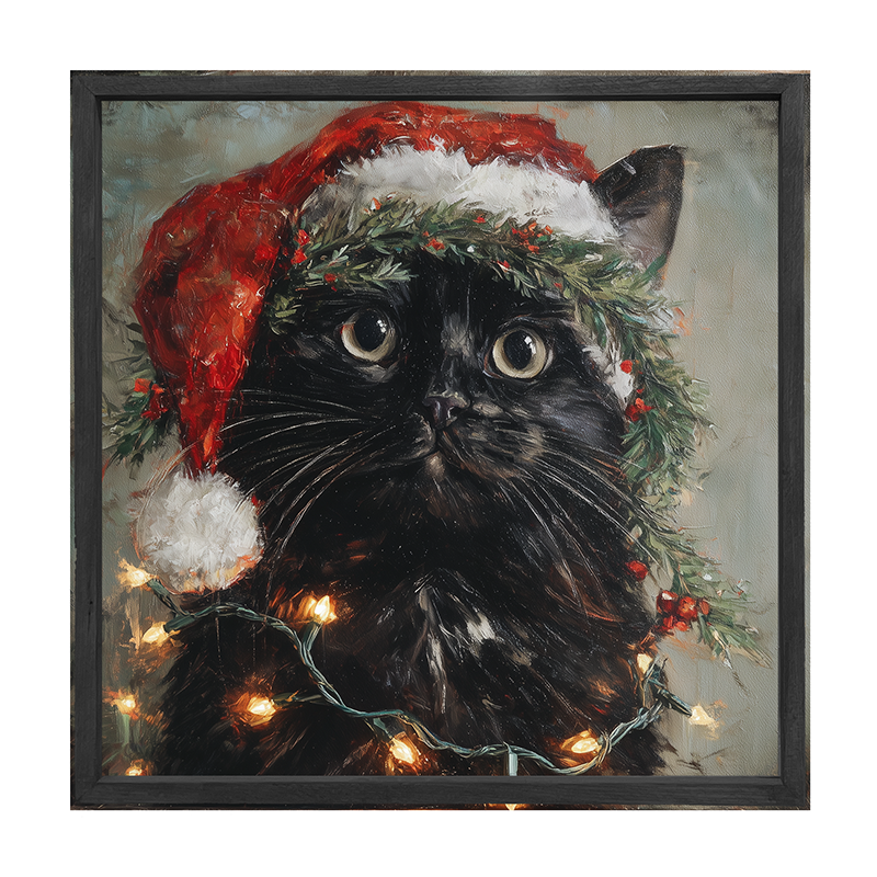 Christmas Lights with Black Cat
