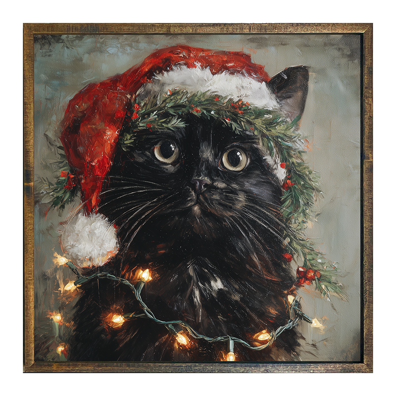 Christmas Lights with Black Cat