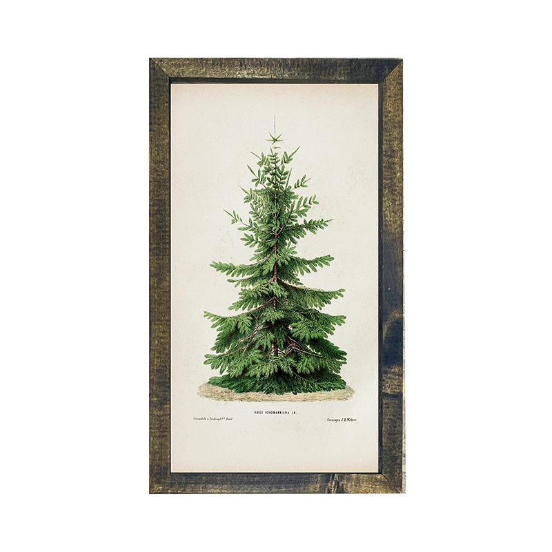Vintage Tree
