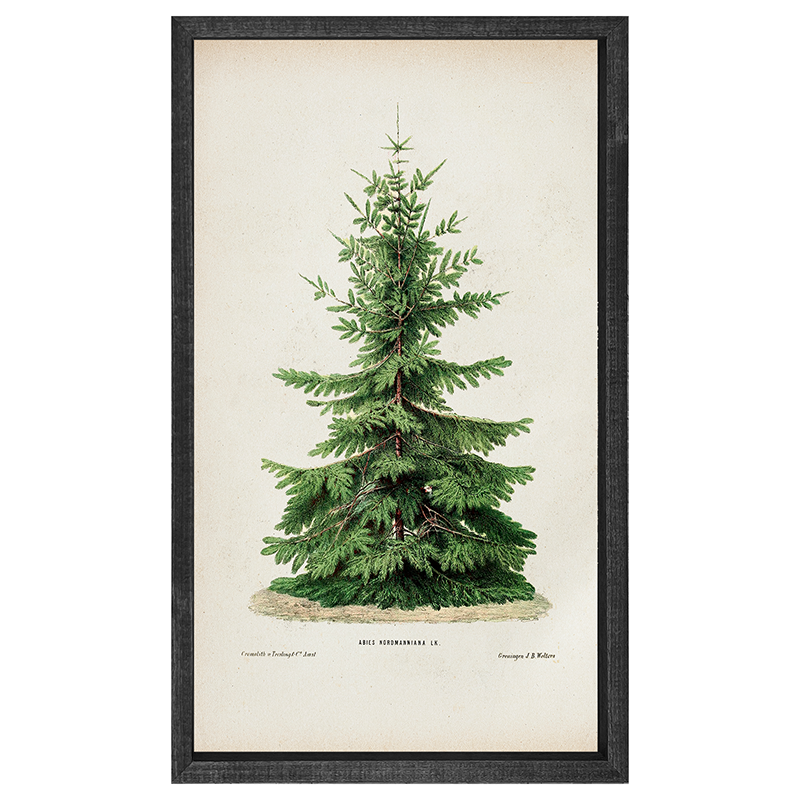 Vintage Tree